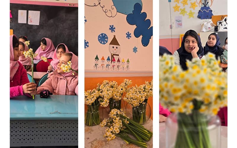 مجتمع آموزشی شکوفه‌های خالق دانش